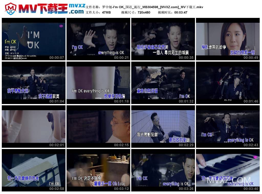 罗中旭-I'm OK_国语_流行_MB304598